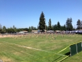 Harvey West Park